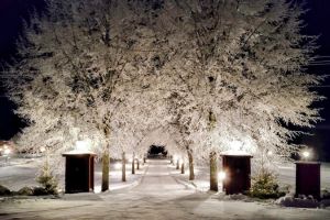 Julbord på Grytsberg Säteri i Södermanland – bild 12