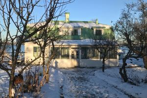 Husmor Lisas julmiddag – bild 1