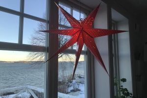 Husmor Lisas julmiddag – bild 9