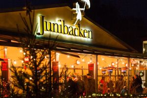 Julfest på Junibacken – bild 6