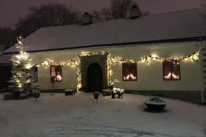 Traditionellt julbord på Rissne Gård – bild 3