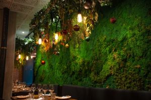 Tabboulis julbord – bild 7