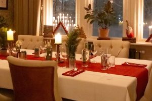 Julfest på Villa Odinslund i Göteborg – bild 4