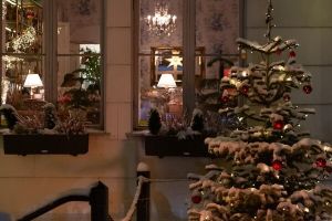 Julfest på Villa Odinslund i Göteborg – bild 5