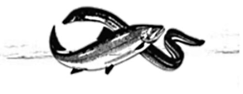 Café Delikatesshörnan & Delikatesshörnans Jultallrik